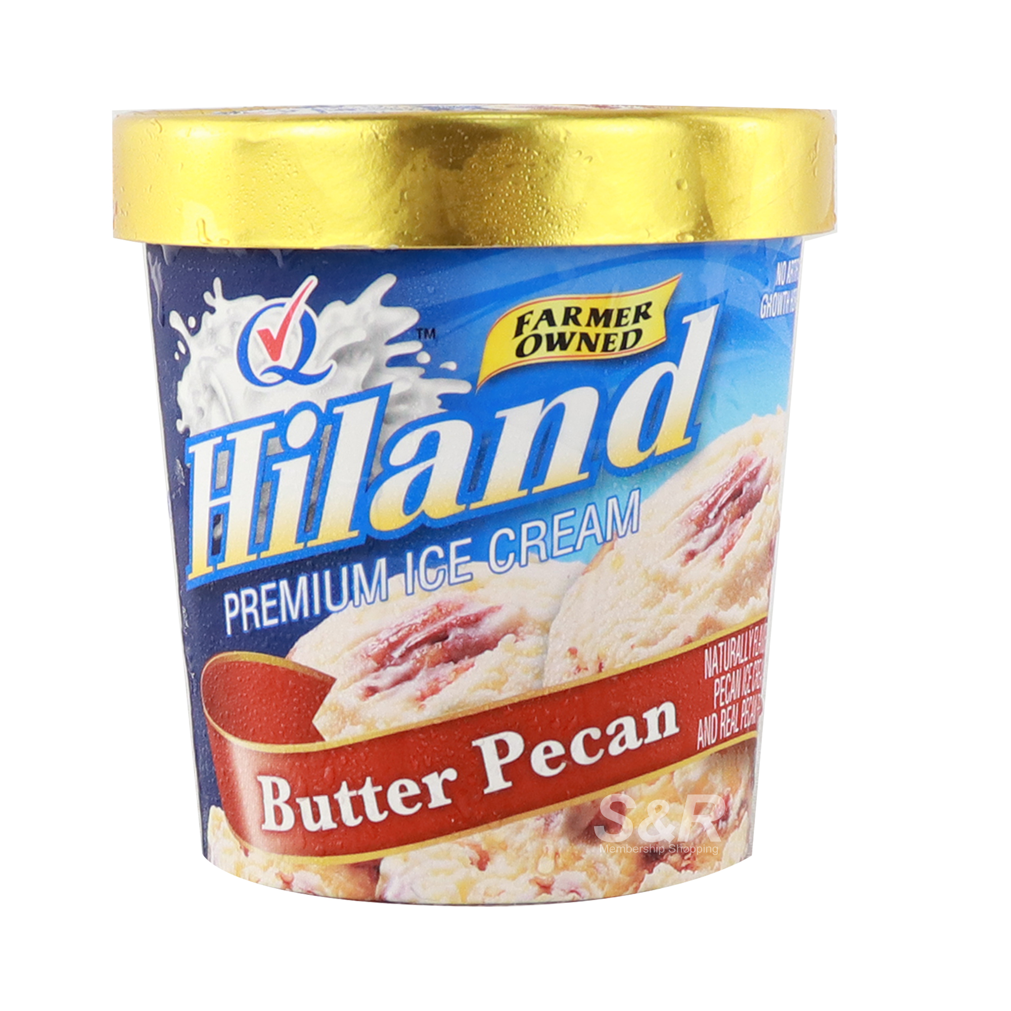Hiland Premium Ice Cream Butter Pecan Flavor 473mL
